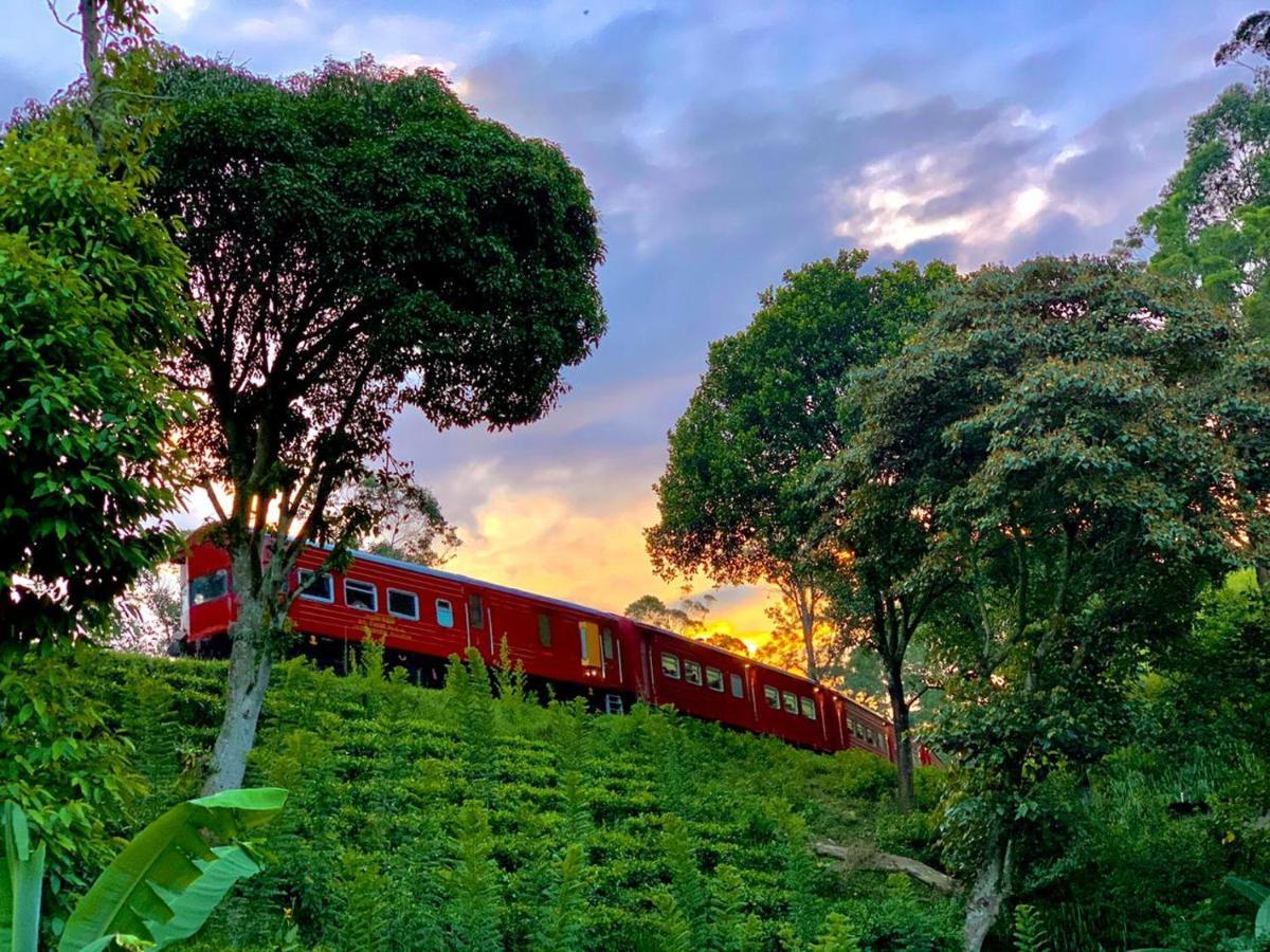 Готель Train View Chalet Бандаравела Екстер'єр фото