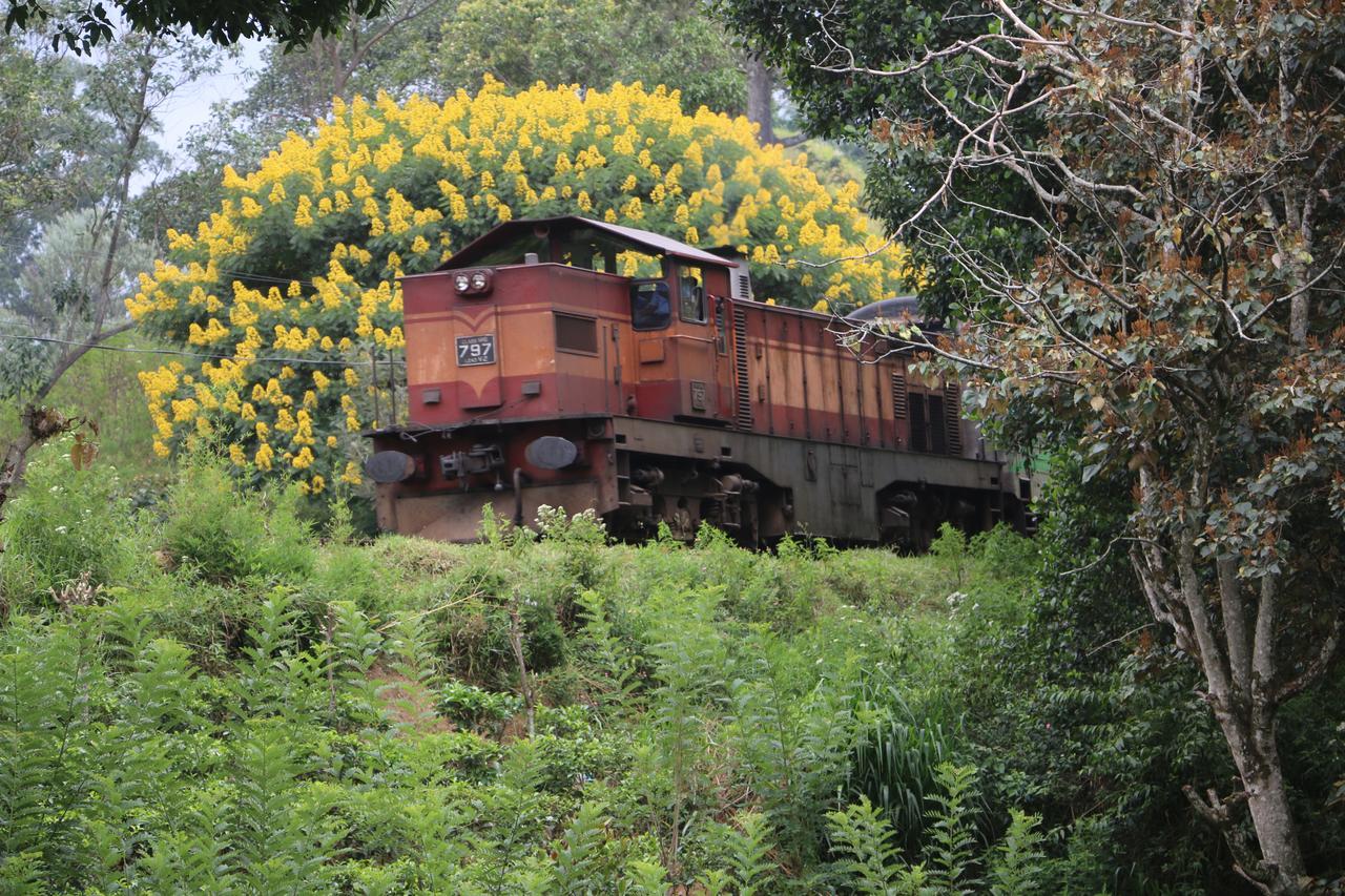 Train View Chalet Бандаравела Екстер'єр фото